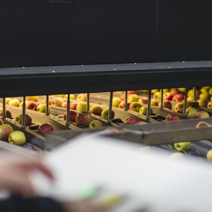 Bogata oferta środków czyszczących